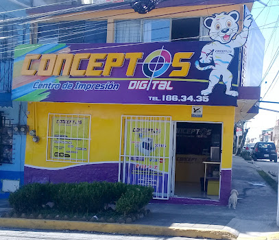 C O N C e P T O S en Xalapa