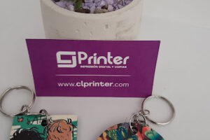 Cl Printer en Villa de Álvarez