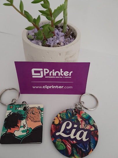 Cl Printer en Villa de Álvarez