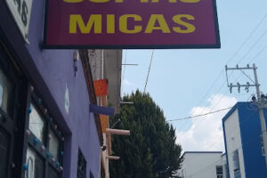 Copias, Micas y Algo Mas en San Miguel de Allende