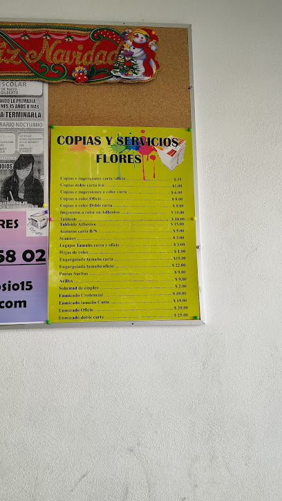 Copias y Servicios Flores en Santa Catarina