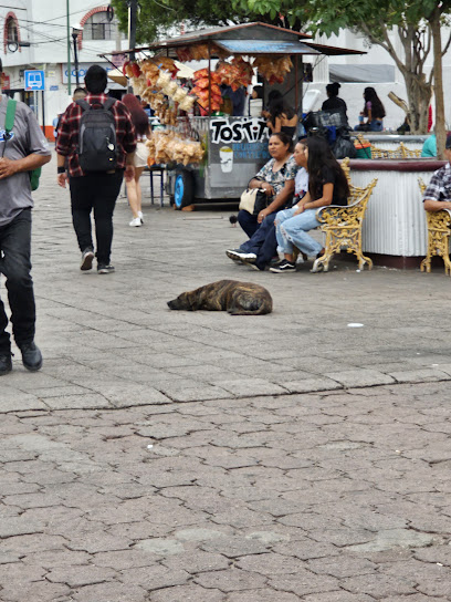Copicentro Xerox (Av. Adolfo López Mateos) en Nogales