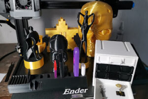 Copypc en Manzanillo