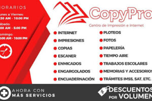 Copypro en Silao de la Victoria