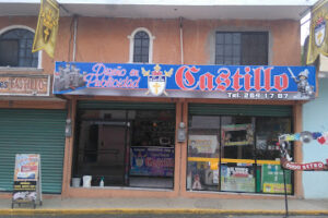 Diseño en Publicidad en Altamira