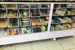 GarEliz Papelería en Acuña