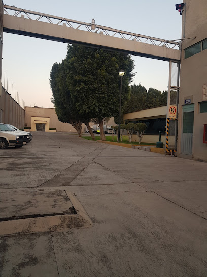 Grupo Tecnico Impresor en López Mateos