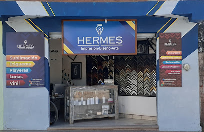 Hermes Estudio en Guanajuato