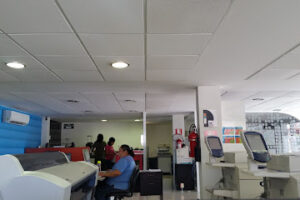 Impresiones Bee Panal Creativo (Venustiano Carranza 242) en Chetumal