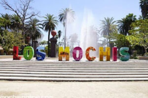 Moon Anuncios Publicitarios en Los Mochis