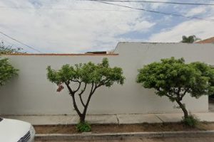 Ms Impresos en Aguascalientes