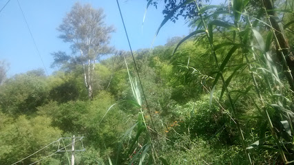 Papelería Ochoa en Cuauhtémoc