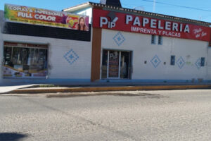 Papelería y Placas Pip en Durango