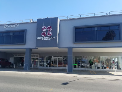 Playeras Cisne... Su Mejor Impresión!! en Ensenada