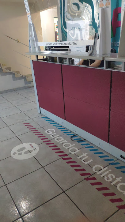 Printel, SA de CV en Santa Catarina