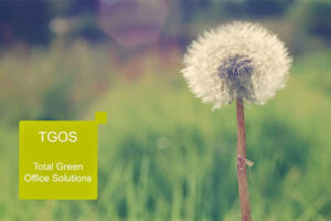 Ricoh Zamora en Zamora