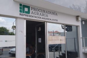 Rótulos Nueva Imagen en Aguascalientes