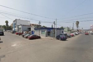 Bosgraf en Tijuana