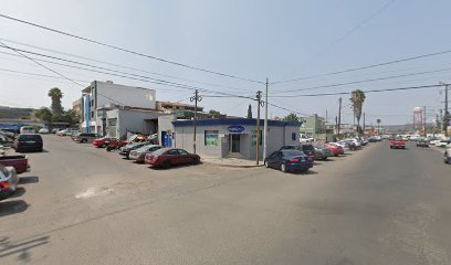 Bosgraf en Tijuana