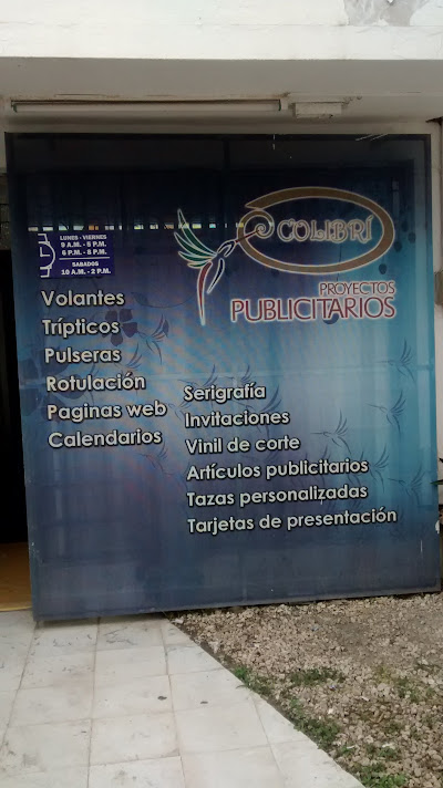 Colibrí en Campeche