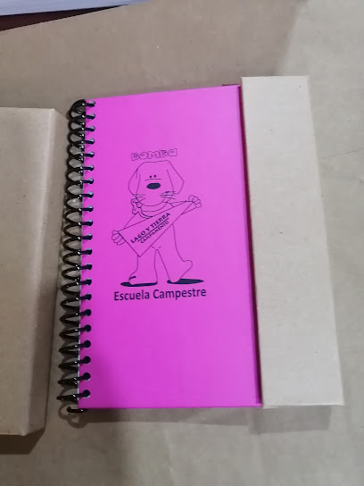 Impresiones SIE en Azcapotzalco