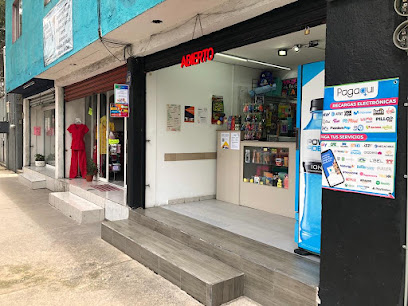 Platino Centro de Copiado y Papelería en Tlalpan