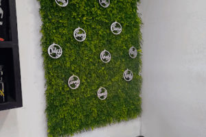 Ai Publicidad en Acapulco