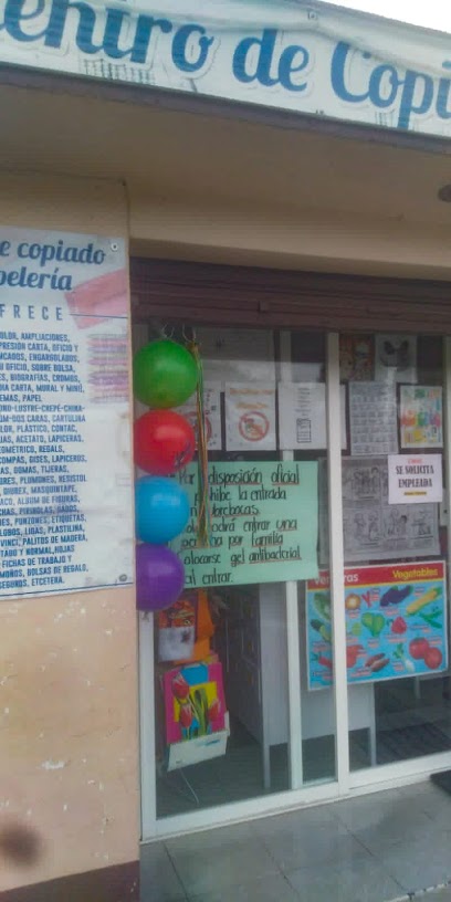 Centro de Copiado y Papelería (Cyber) en Metepec