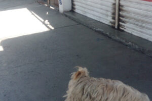 Copias Por Volumen en Chimalhuacán