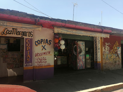 Copias X en Nicolás Romero