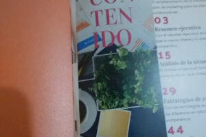 Imprenta Vanguardia en Acapulco