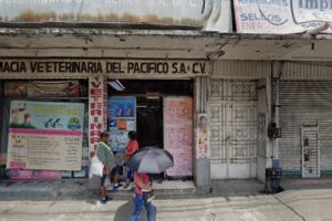 Imprenta del Centro en Acapulco