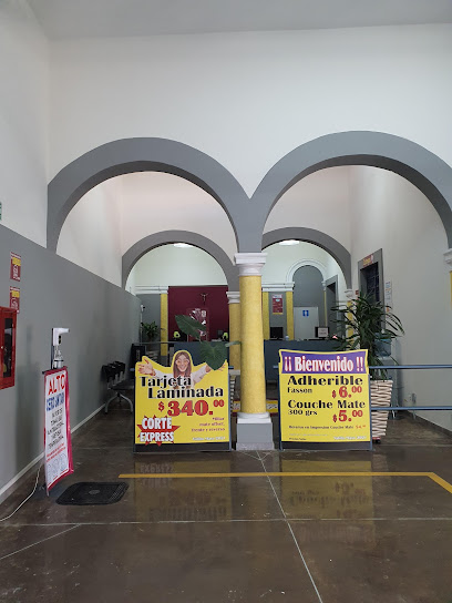 Impresión Digital en Guadalajara - Digital y Más Imprimir en Guadalajara