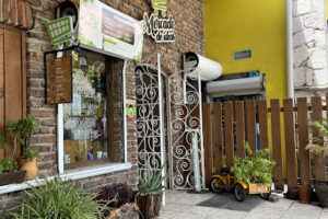 Mercado de Ideas en Guanajuato