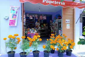 Papelería Abu en Villa de Álvarez