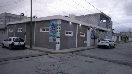 Publicidad Impresa en Pachuca