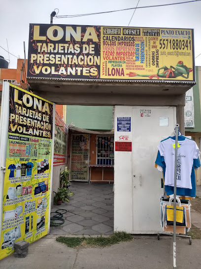 Punto Exacto (Publicidad, Impresión y Diseño) en Tecámac