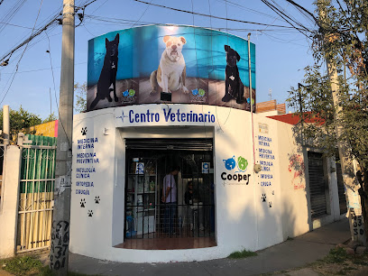 Rótulos y Anuncios Luminosos Speed en Ecatepec de Morelos