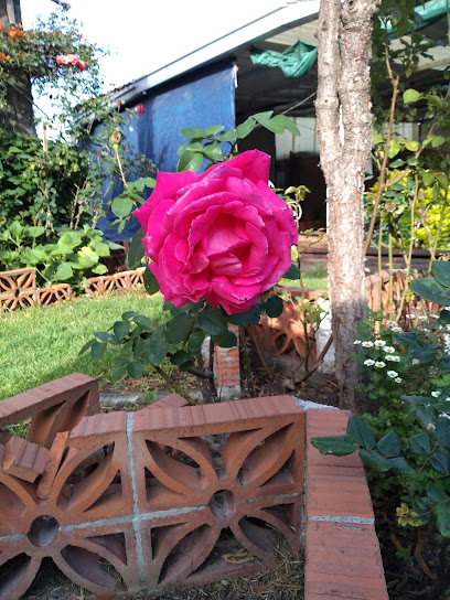 Soluciones Impresas & Mini Bazar en Nicolás Romero