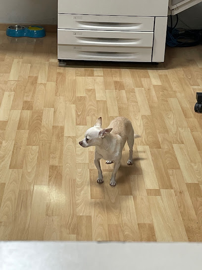 Central Gráfica Servicios Digitales en Monterrey