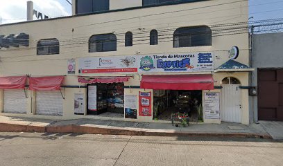 Contrasteburo en Cuernavaca