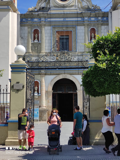 Copias Kiwi en Tehuacán