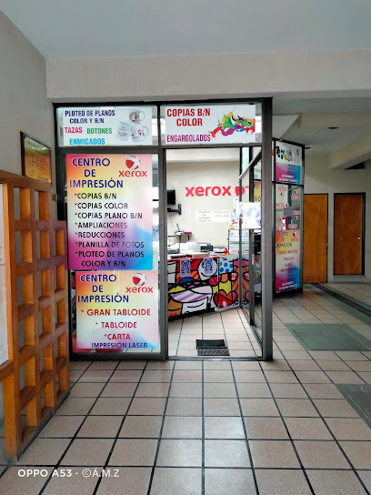 Copias Xerox en San Martín Texmelucan