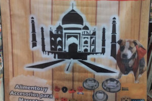 Copilopez en Altamira