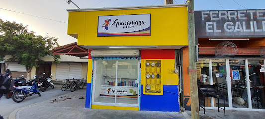 Guacamaya Print en Cozumel