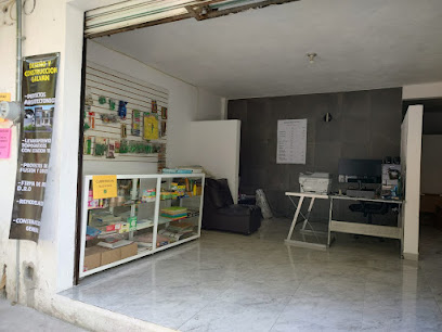 Impresión de Planos Galvan en Cuautla