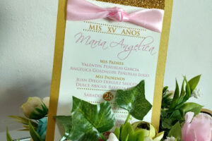 Invitaciones Mp Guasave en Guasave