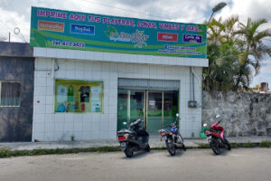 Manglar Impresiones en Cozumel