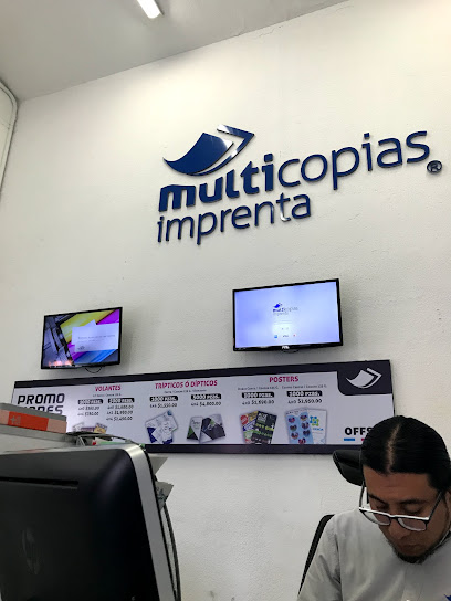 Multicopias 2 Sur en Puebla