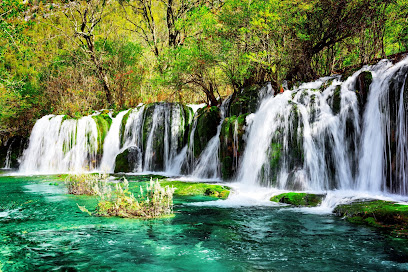 Publigrafik Impresiones en Matamoros